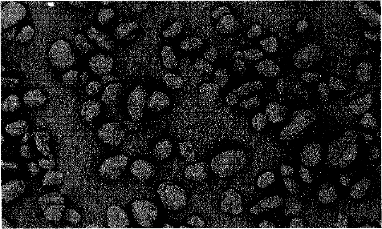 Production method of spherical graphite