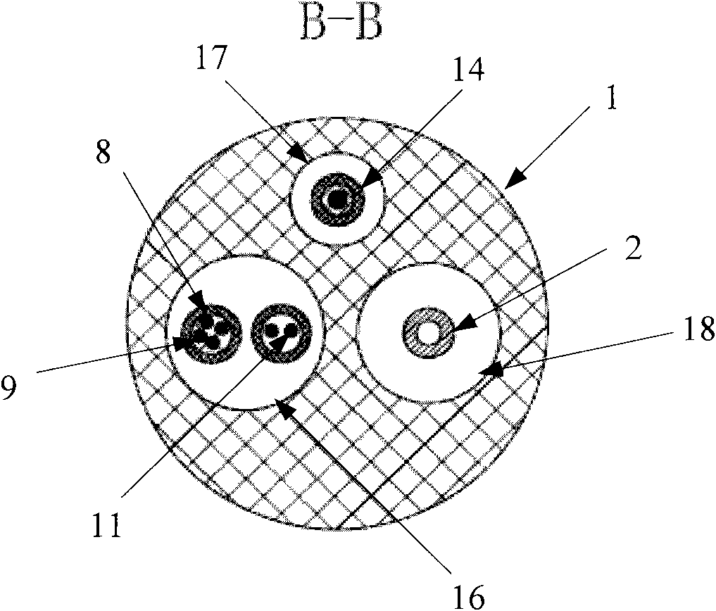 Device and system for locally delivering therapeutic agents