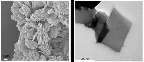 Method and application for enriching phosphorylation peptide fragment from two-dimensional metal organic skeleton nano-sheets