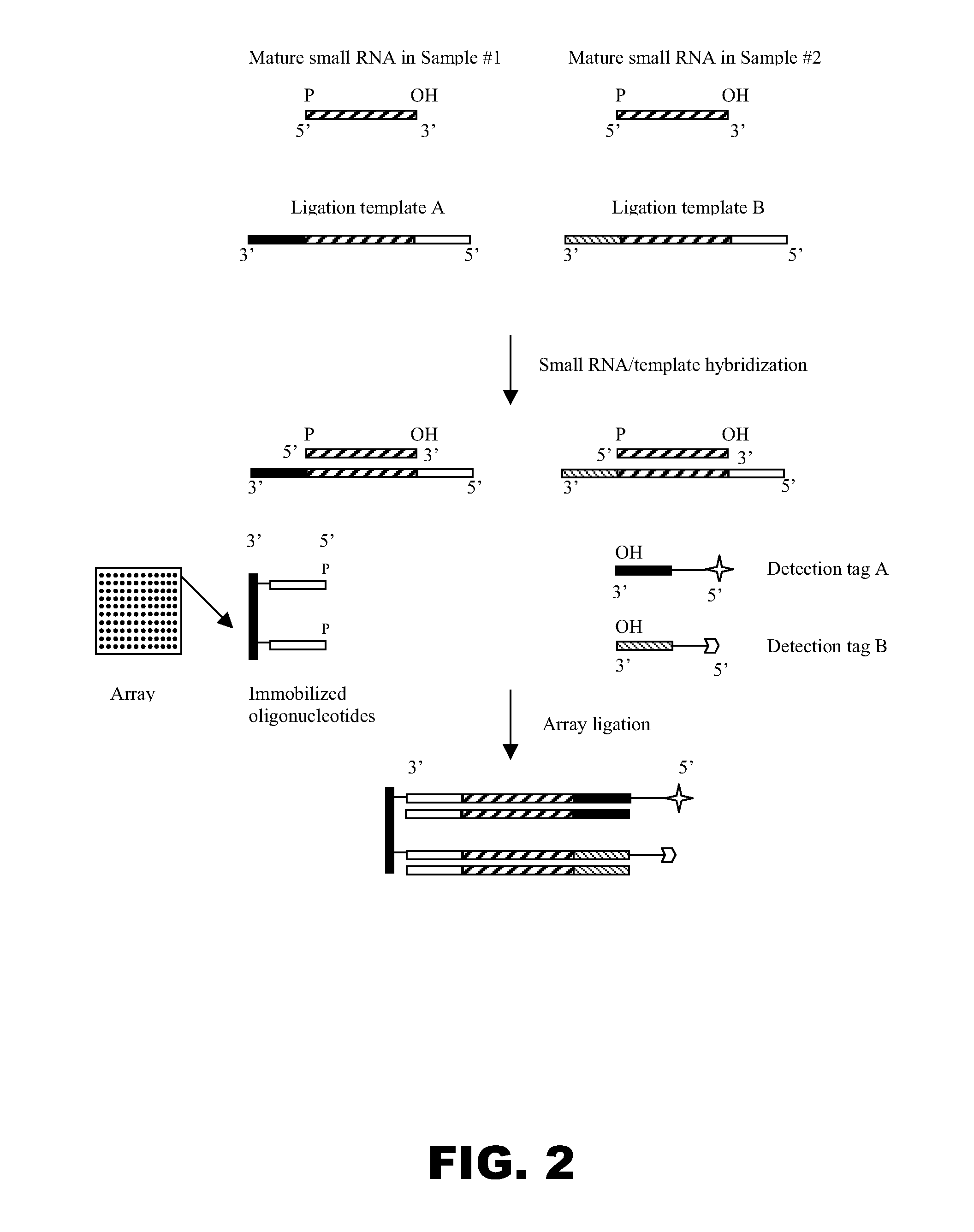 Universal ligation array for analyzing gene expression or genomic variations