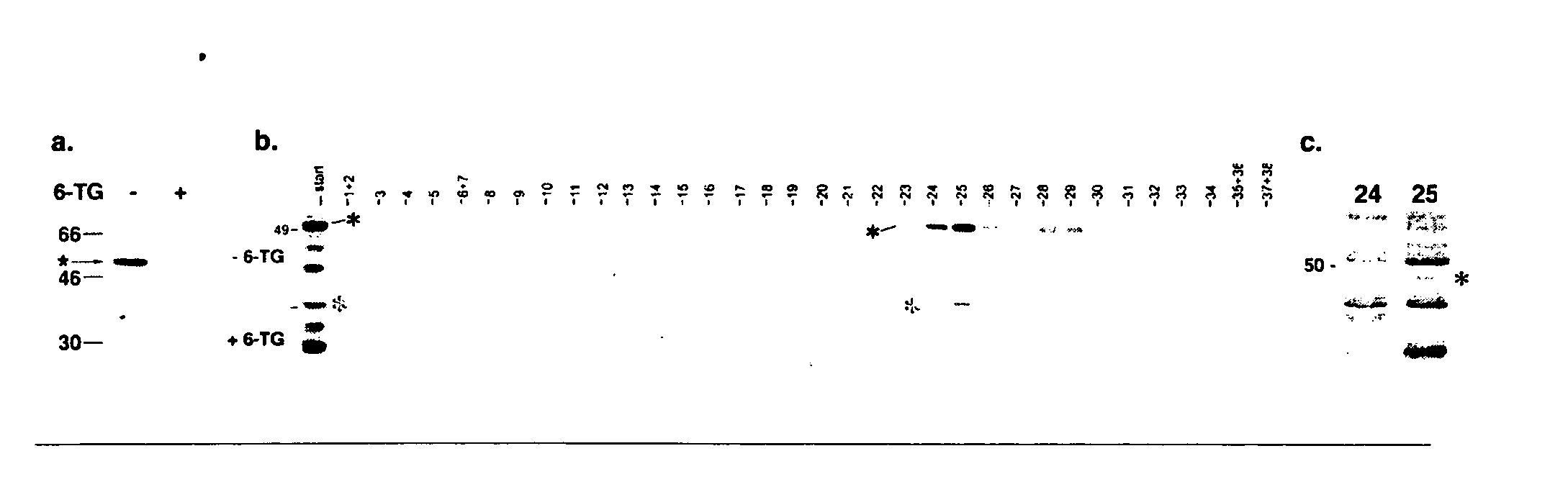 Methods and compositions for modulating axonal outgrowth of central nervous system neurons