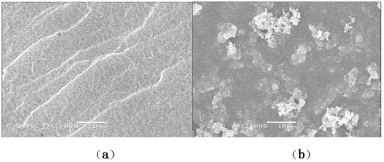 Inorganic nano compound and preparation method and application thereof