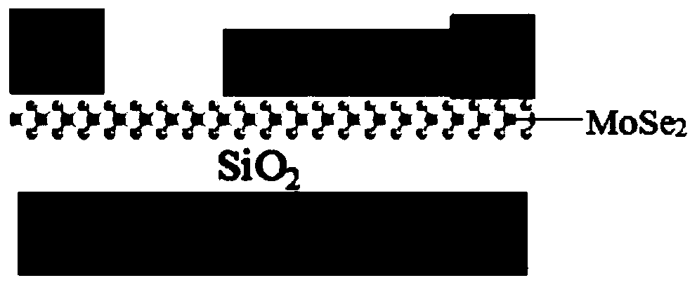 Preparation method of MoSe2 in-plane homogeneous p-n junction