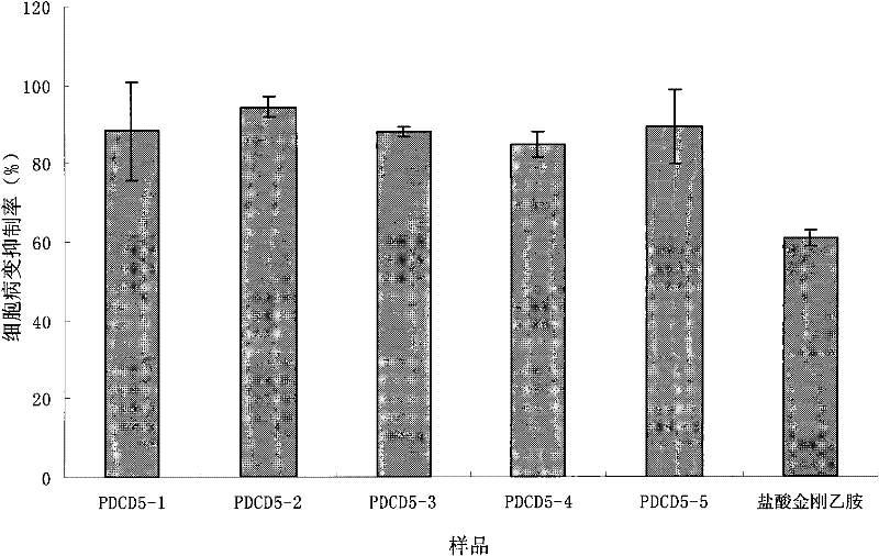 Structure and application of target programmed cell death protein 5 (PDCD5) anti-influenza virus oligonucleotide