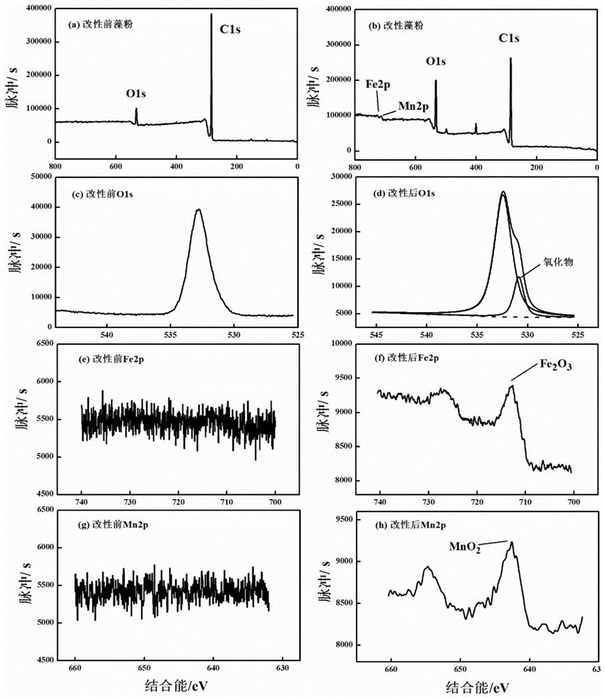 A kind of iron-manganese modified algae adsorbent and preparation method thereof