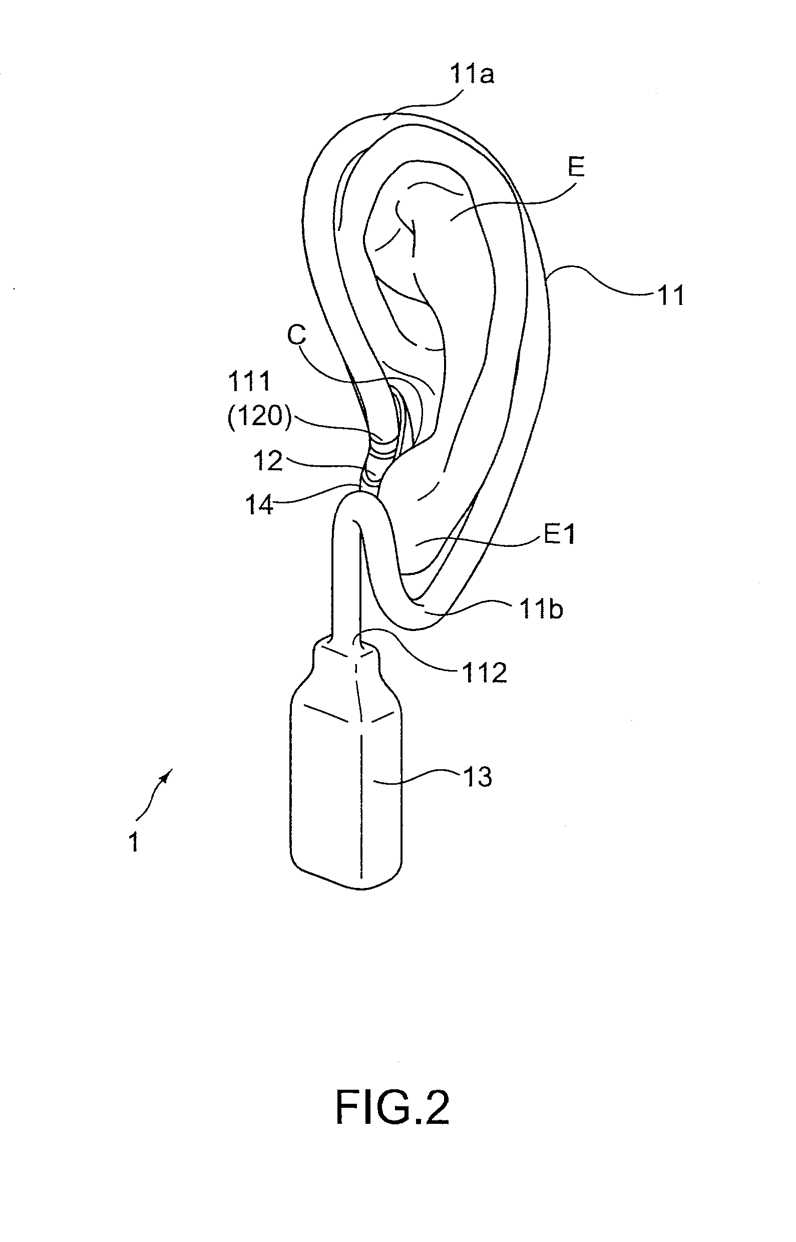 Auricle-installed apparatus