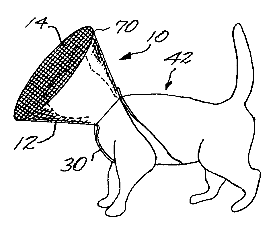 Protective collar for an animal