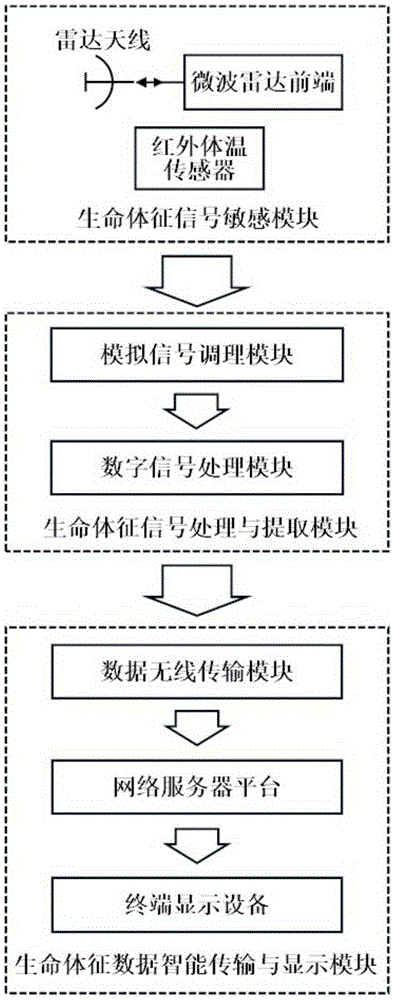 Non-contact vital sign intelligent detection device