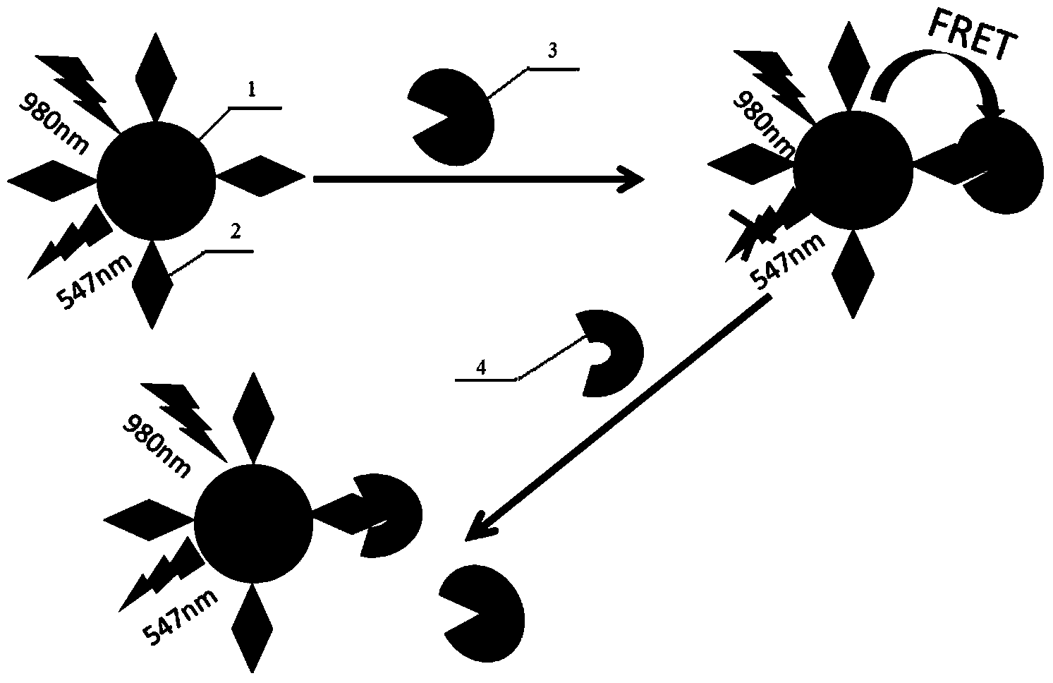 Method for detecting upconversion fluorescence resonance energy transfer by using carbon nanomaterial as receptor