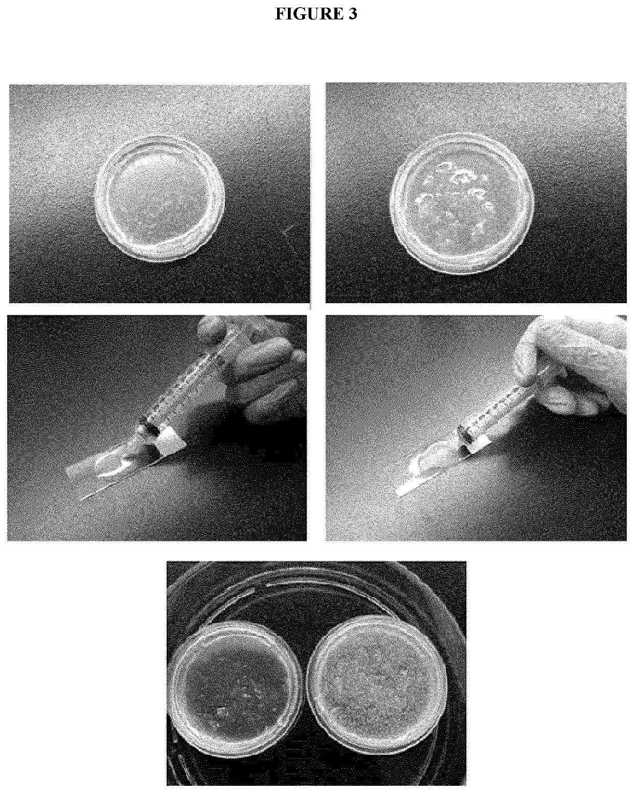 Composite biomaterials