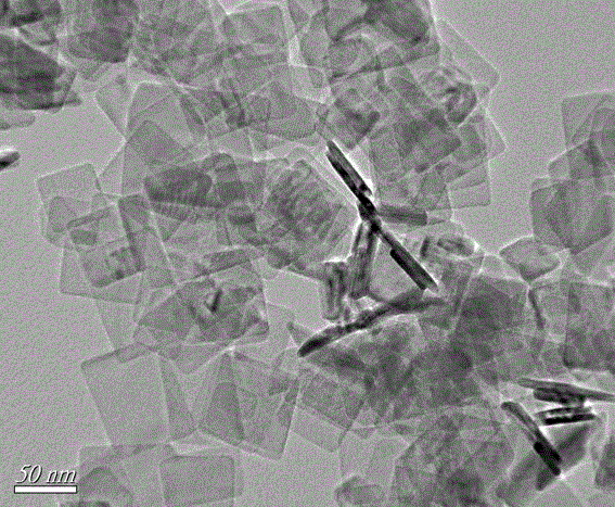 Preparation method of a self-assembled silver phosphate-based composite visible light catalytic material