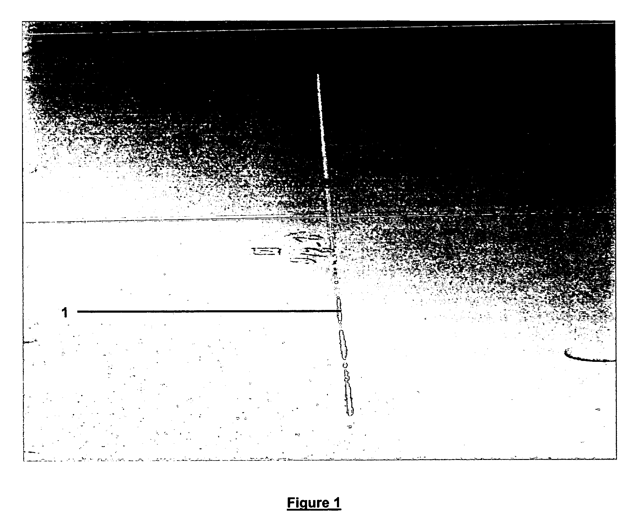 Process for anodically coating aluminum and/or titanium with ceramic oxides