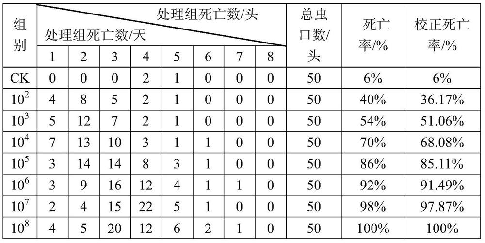 Novel oleander hawk moth polyhedrosis virus and application thereof