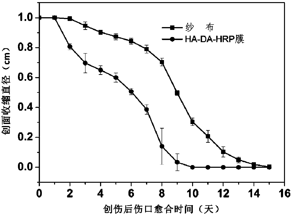 Preparation method of hydrogel film with high adhesion to skin and function of promoting wound healing