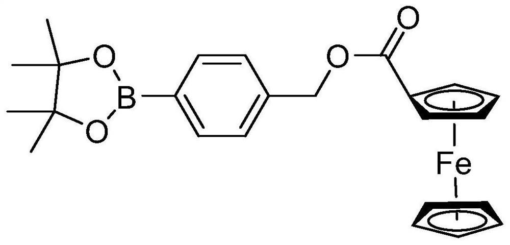 Functional molecule with anti-tumor activity, and preparation method and application thereof