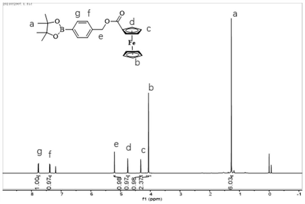 Functional molecule with anti-tumor activity, and preparation method and application thereof