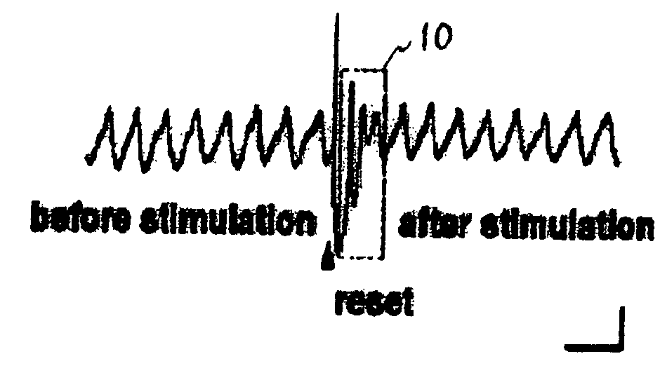 Method and apparatus for phase-independent predictable resetting