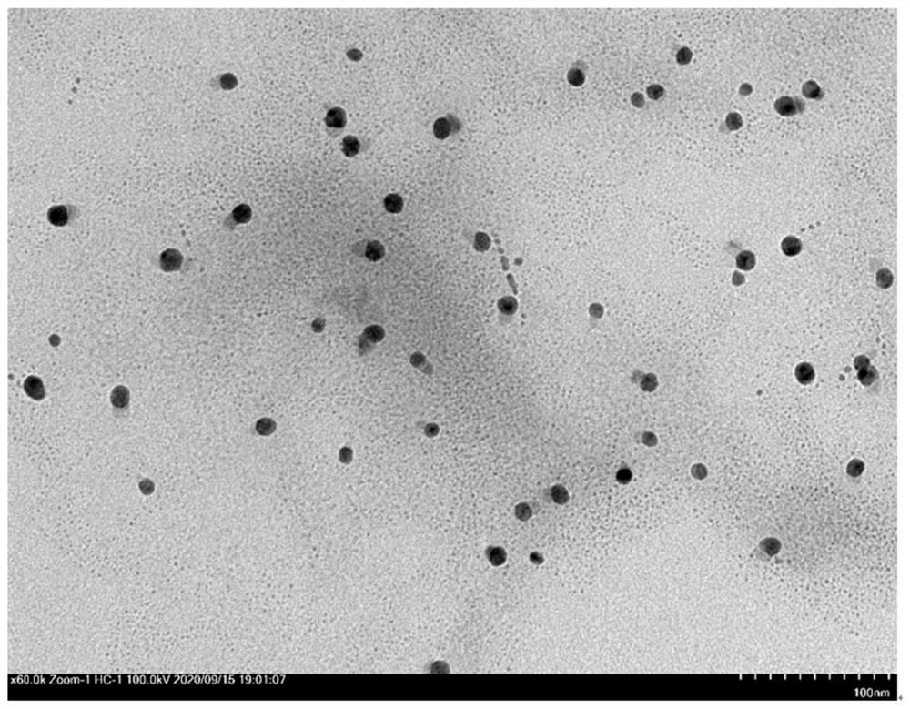 Antibacterial composite hydrogel as well as preparation method and application thereof