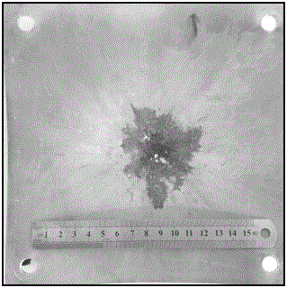 Thermal insulation/protection integrated space debris protection structure and application thereof