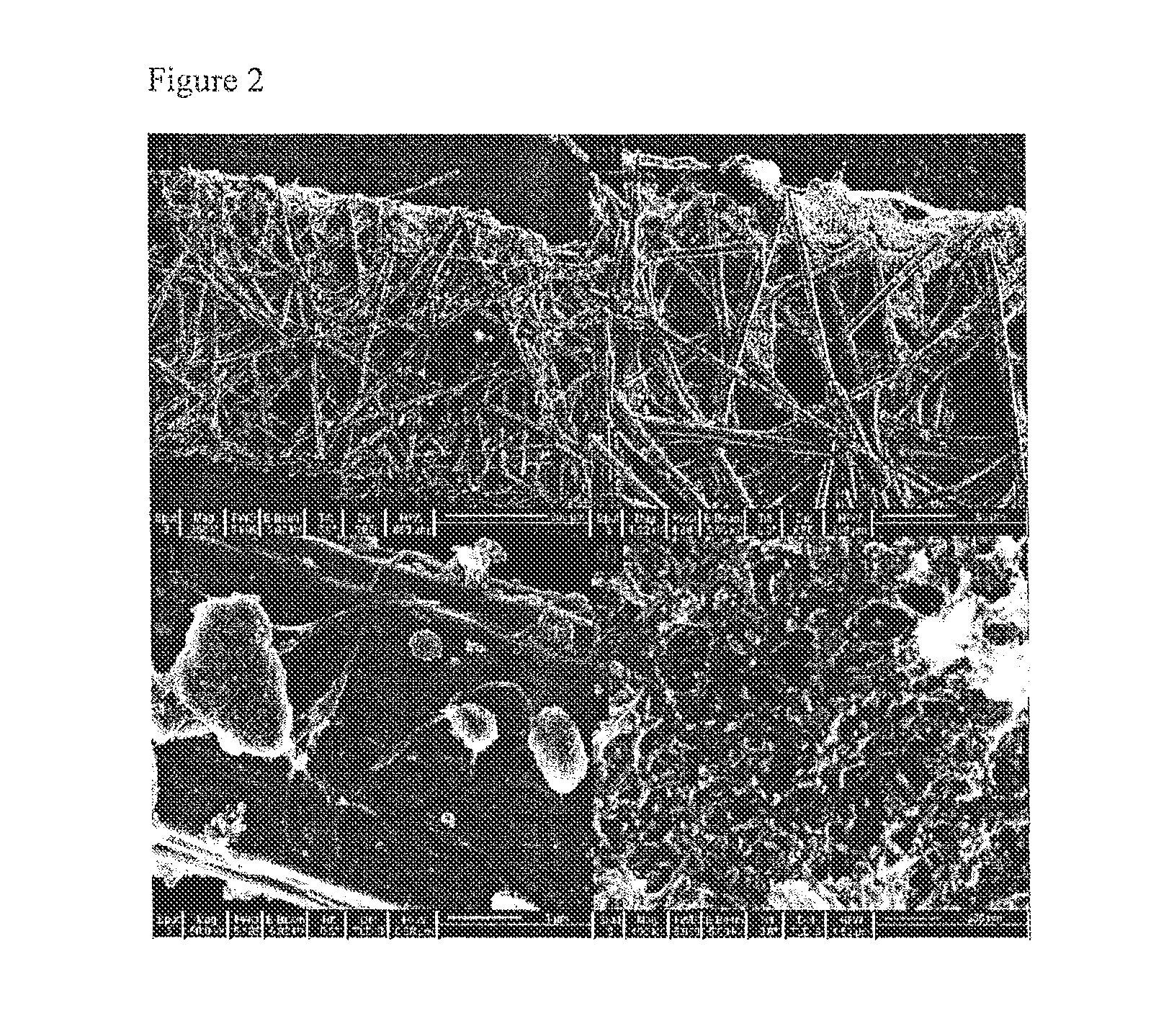 Process of increasing energy conversion and electrochemical efficiency of a scaffold material using a deposition material