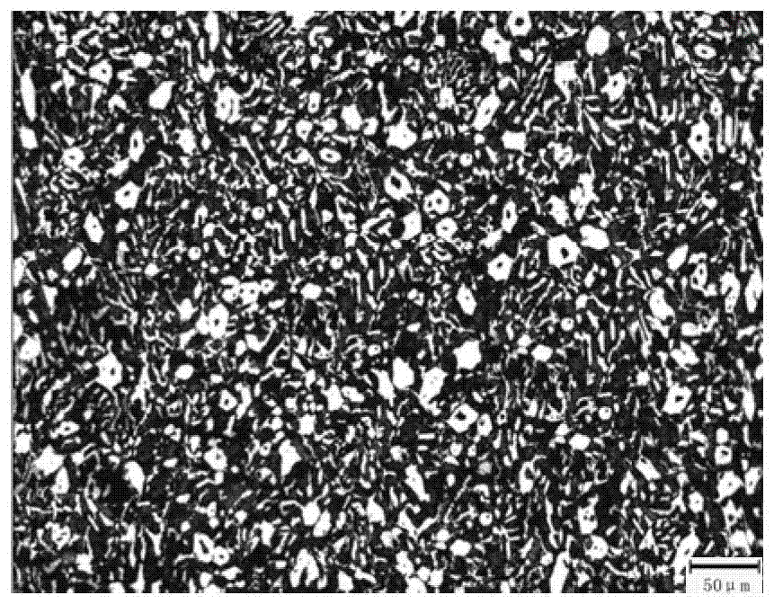 Method for preparing hypereutectic high chromium white cast iron