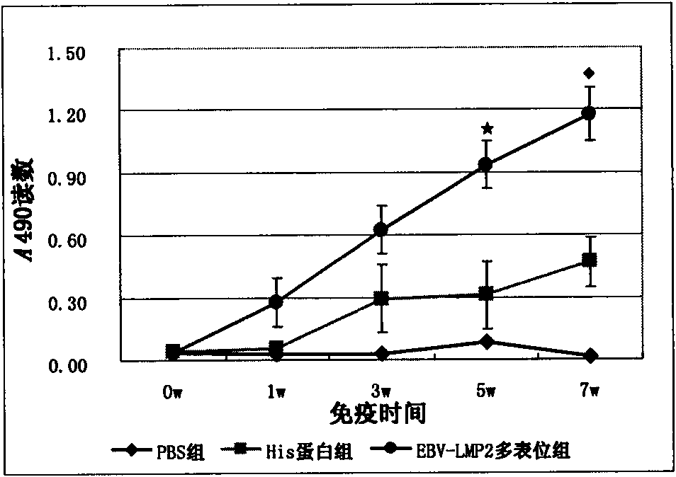 Multi-epitope recombinant protein of epstein-barr (EB) virus latent membrane protein 2 and application thereof