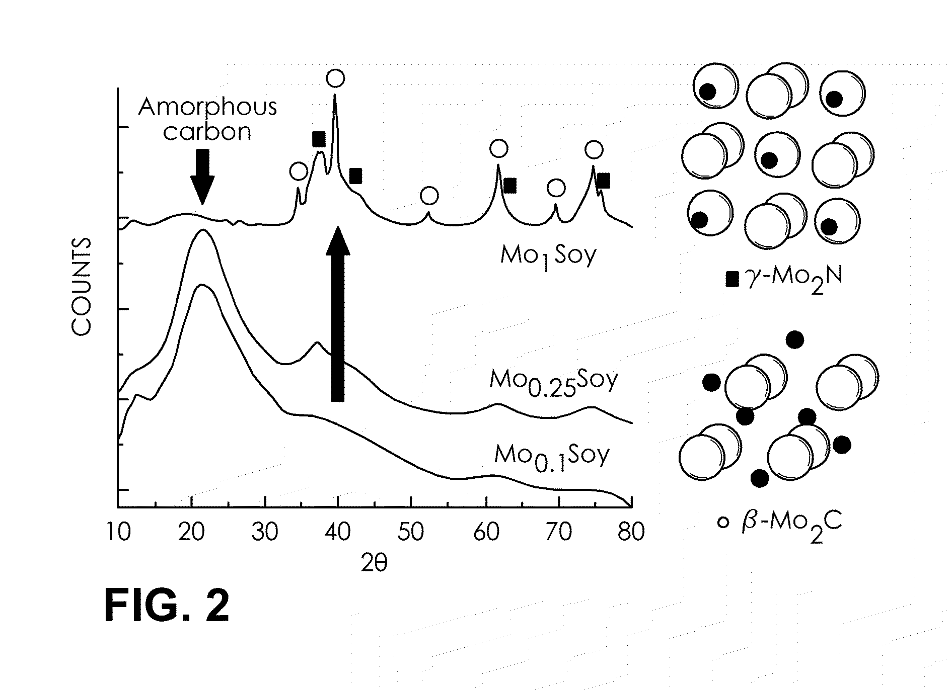 Biomass transition metal hydrogen-evolution electrocatalysts and electrodes