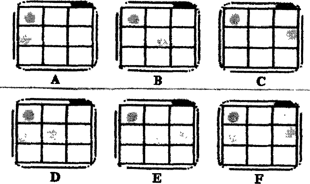 Detection method of hepatitis B virus genome drug resistance mutation