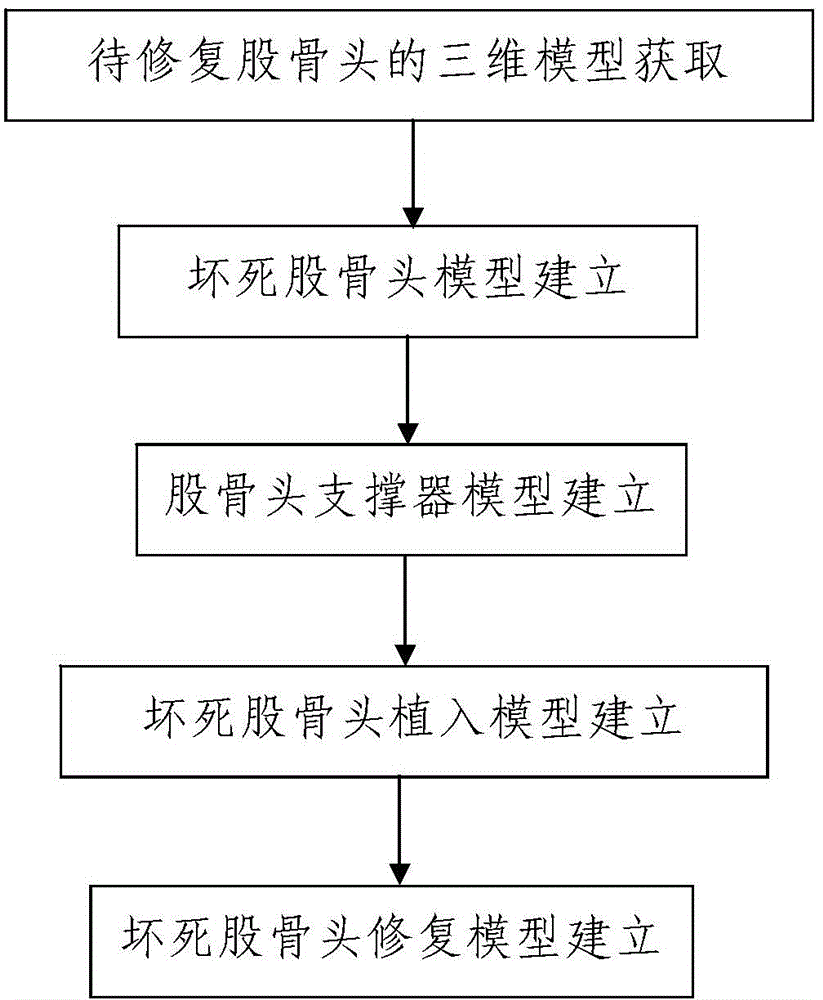 Modeling method of necrosis caput femoris restoring model based on umbrella-shaped caput femoris supporter