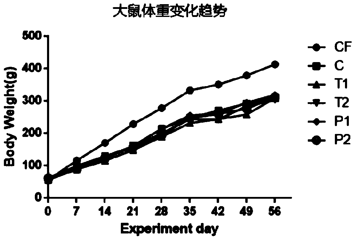 Lactobacillus plantarum effect of preventing and treating decayed teeth