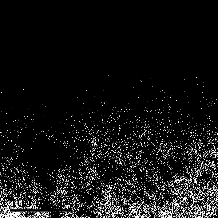 Preparation method of fluorescent carbon quantum dot