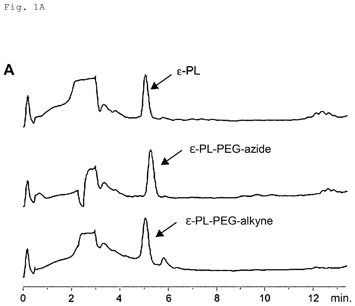 E-poly-l-lysine derivatives having functional group for click chemistry, method for producing the same, and use thereof