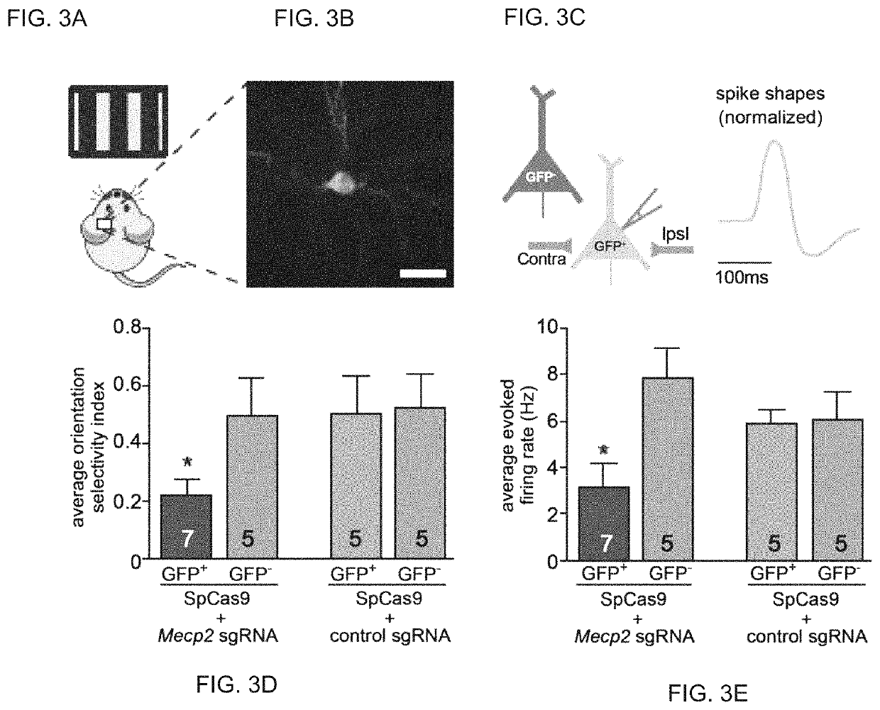 Delivery, use and therapeutic applications of the CRISPR-Cas systems and compositions for genome editing