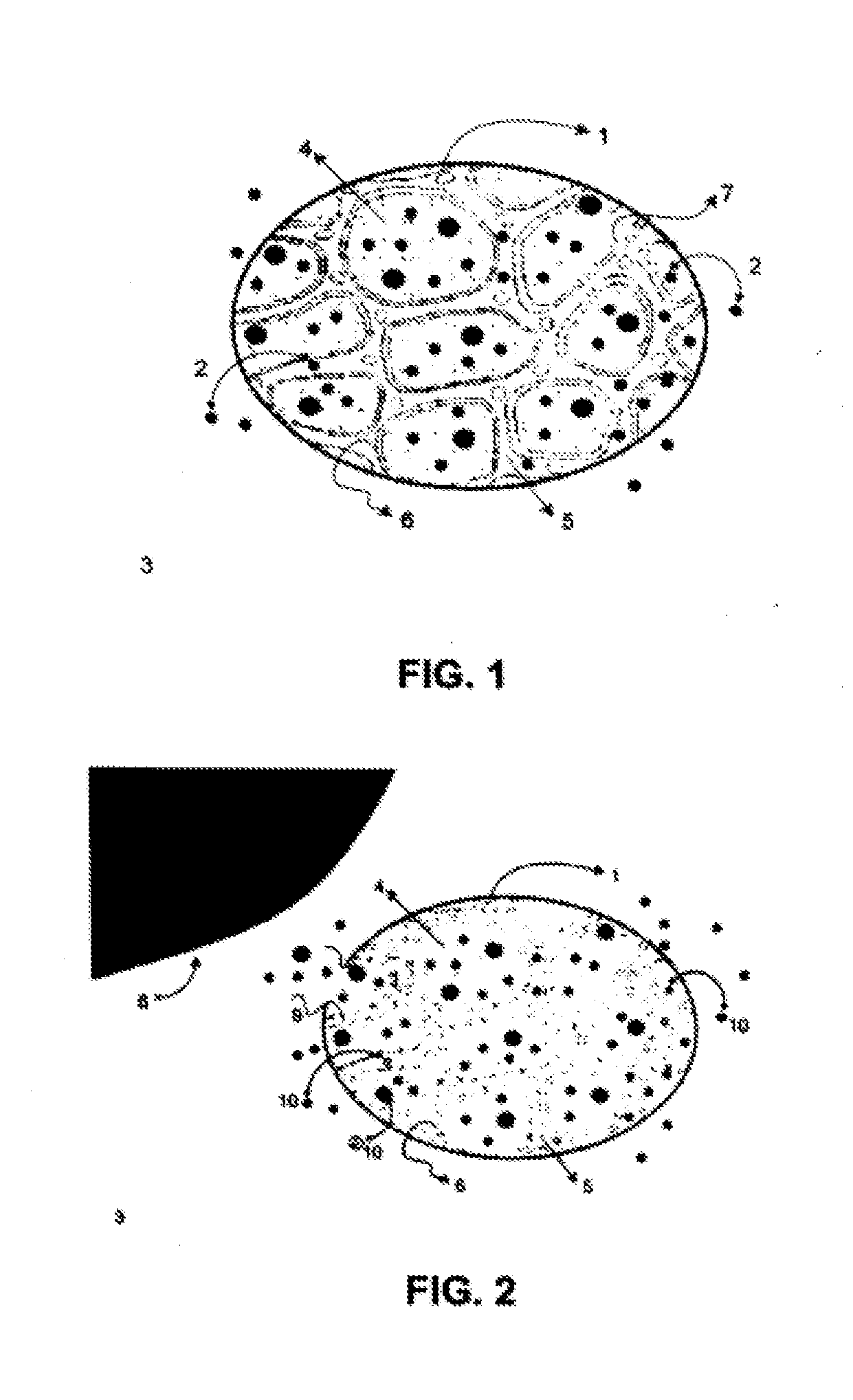 Device And Method For Extracting Active Principles From Natural Sources, Using A Counter-Flow Extractor Assited By A Sound Transduction System