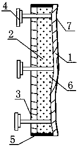 Magnetic 3D veneer