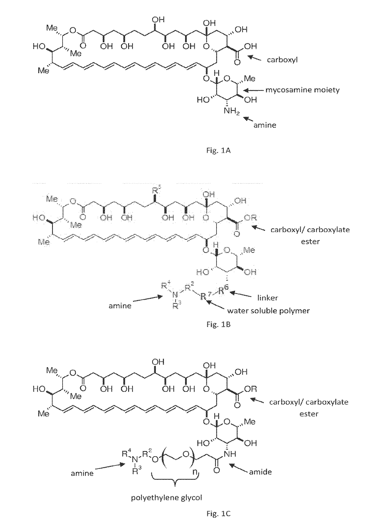 Amphotericin B derivatives