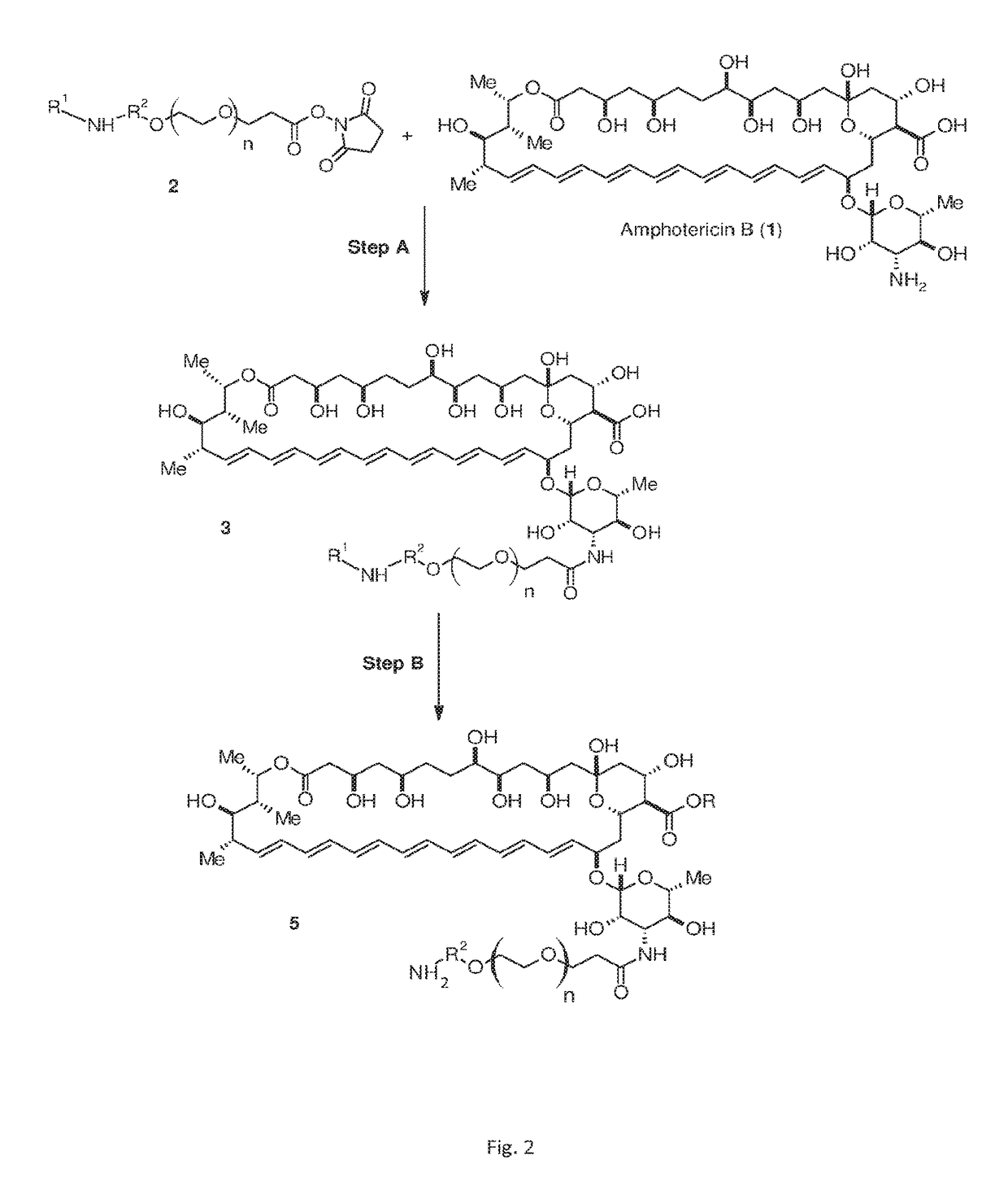 Amphotericin B derivatives