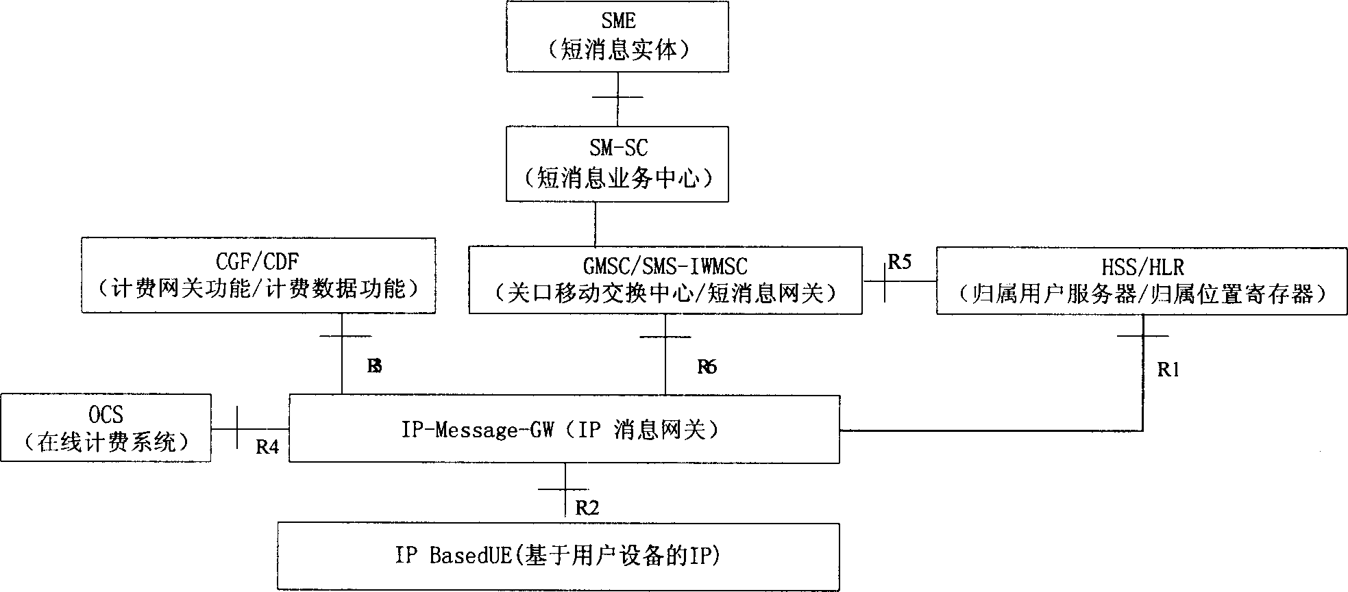 Method for IP user realizing mobile data service based on IP access