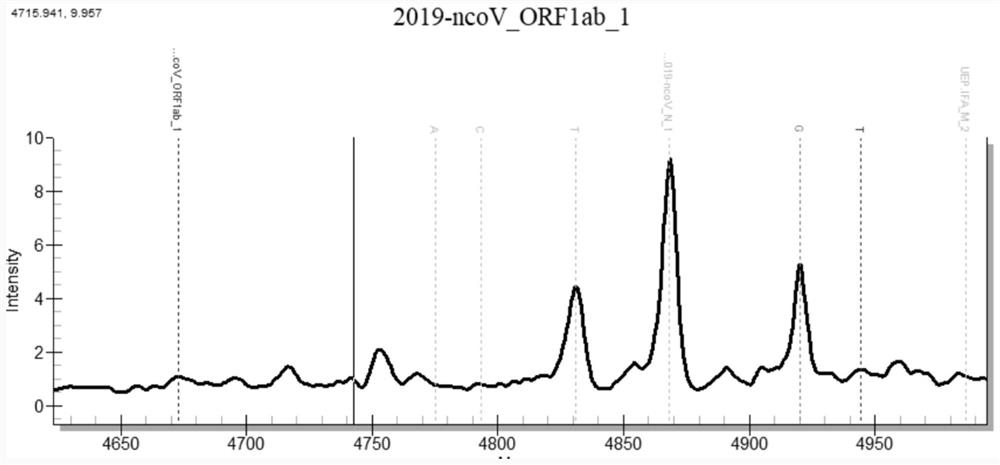 Method for rapidly detecting 12 respiratory viruses by using multiplex PCR technology and application thereof