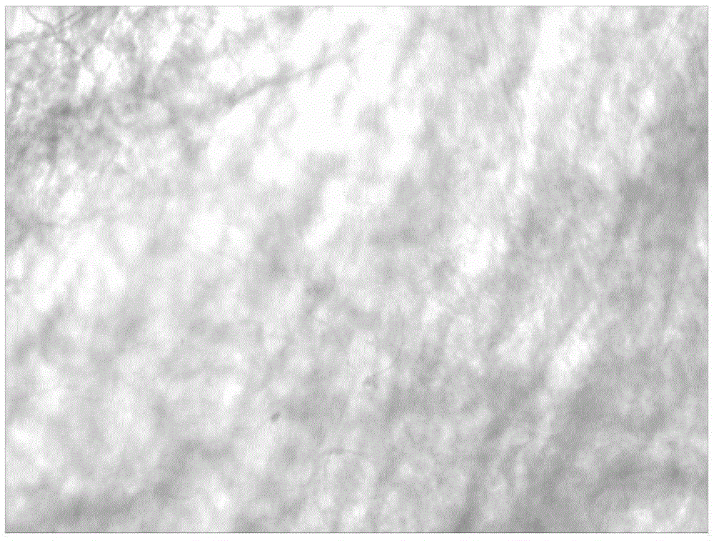 A kind of highly active bio-derived material and its preparation method and application