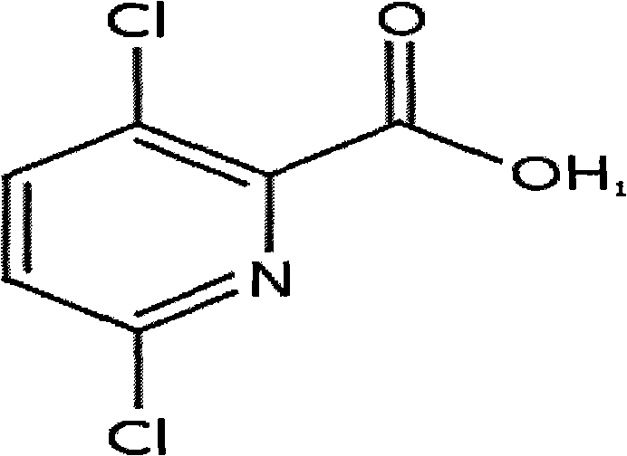 Synergistic herbicide composition containing rimsulfuron and clopyralid and application thereof