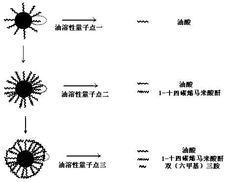 A kind of water-soluble quantum dot and preparation method thereof