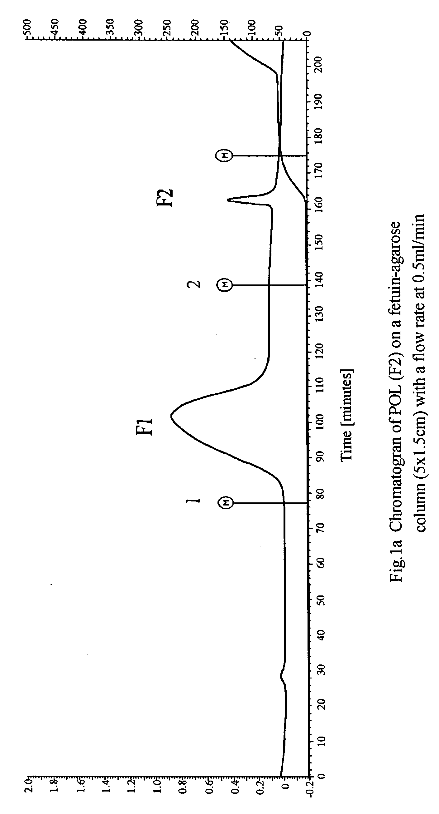 Isolated proteins from a traditional Chinese medicine Yuzhu and use thereof