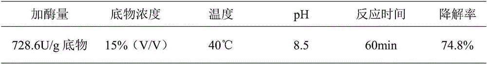 Method for treating papermaking white water by utilizing cutinase