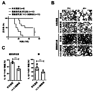 Application of intervention 14-3-3 in treatment of sepsis