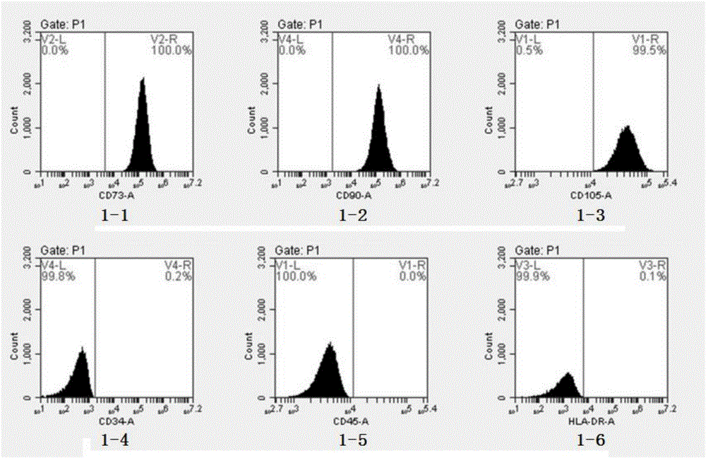 Dental pulp mesenchymal stem cell cryopreservation solution and cryopreservation method thereof