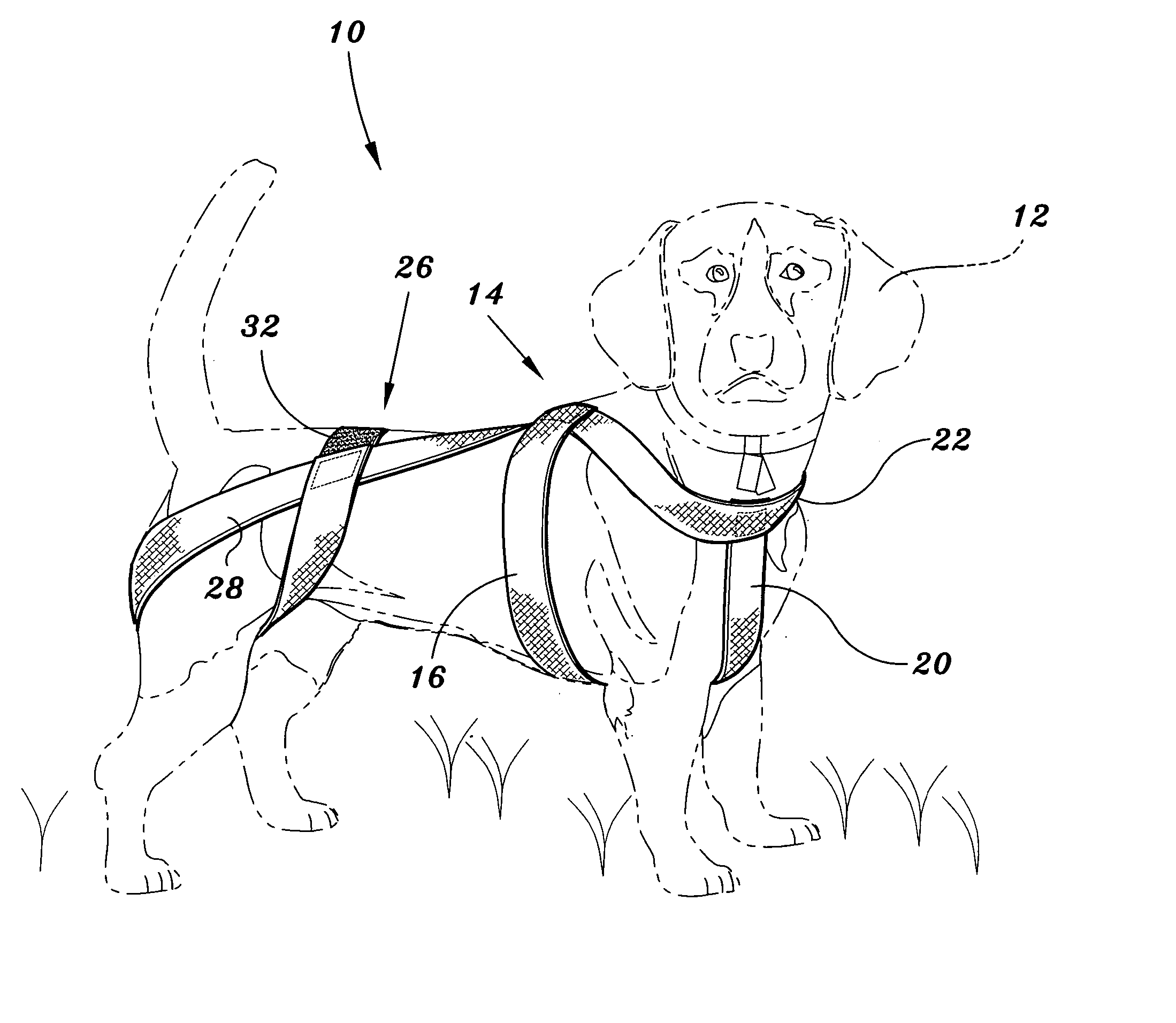 Animal wrap for touch training