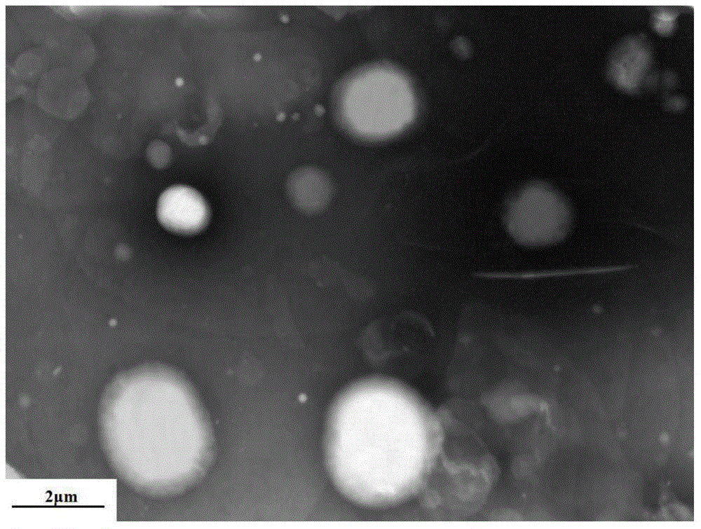 Preparation method of terbinafine hydrochloride microcapsule antibacterial agent for shoes