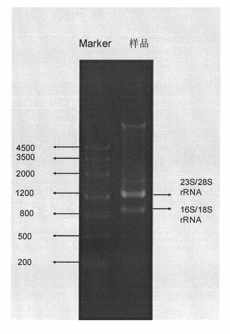 Method for analyzing microbial community structures