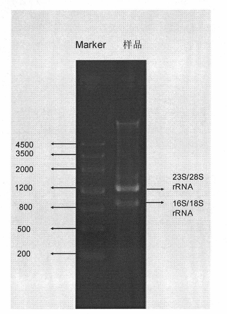 Method for analyzing microbial community structures